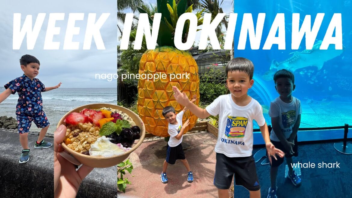 WEEK IN OKINAWA: Part 3 🇯🇵🏝️ocean expo park, churaumi aquarium, nago pineapple park, king tacos