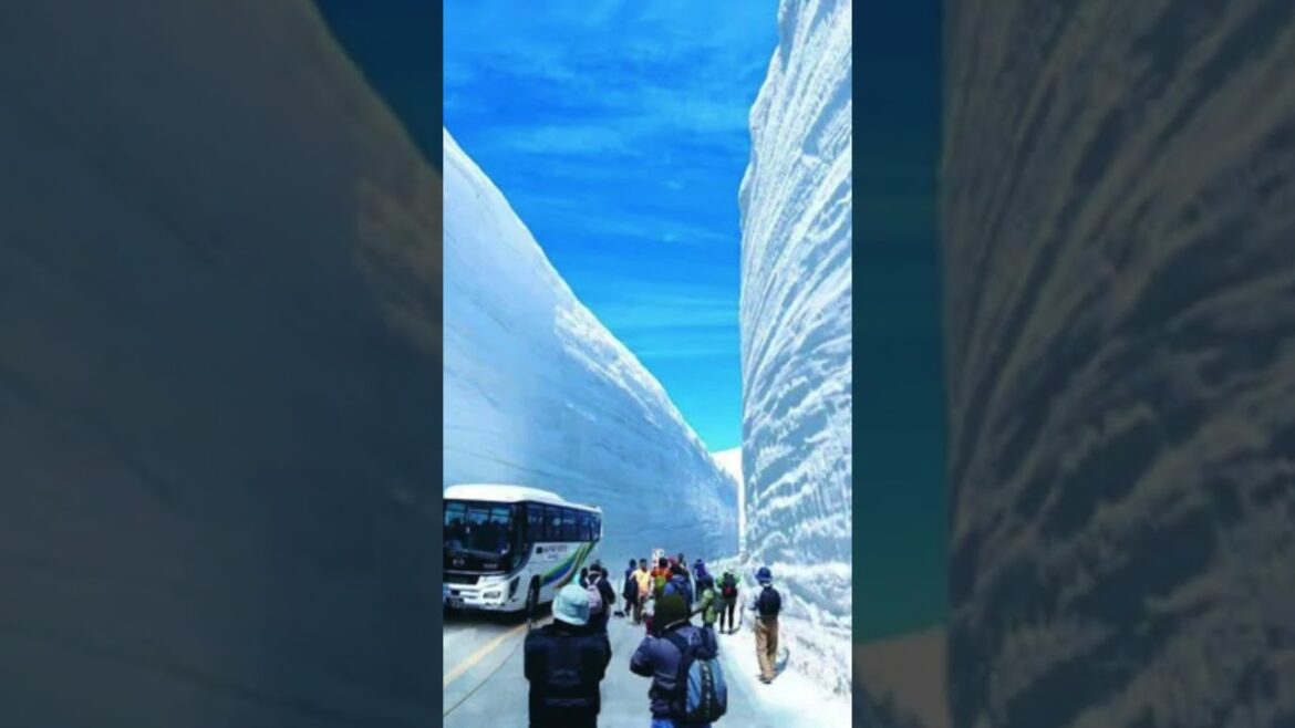 Aomori, Japan: The Snowiest City in the World Aomori, Japan: The Snowiest City in the World