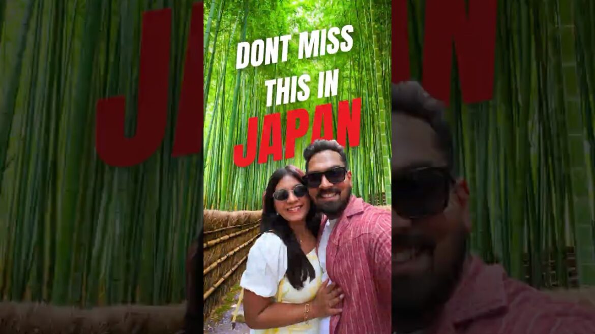 This Bamboo Forest In Kyoto Felt Like a DREAM 🇯🇵 #japan #japantravel #kyoto