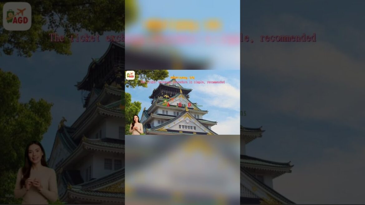 #AGD #Review Nankai Rapi:t Airport Express Ticket: Kansai Airport (KIX) to Osaka | Japan