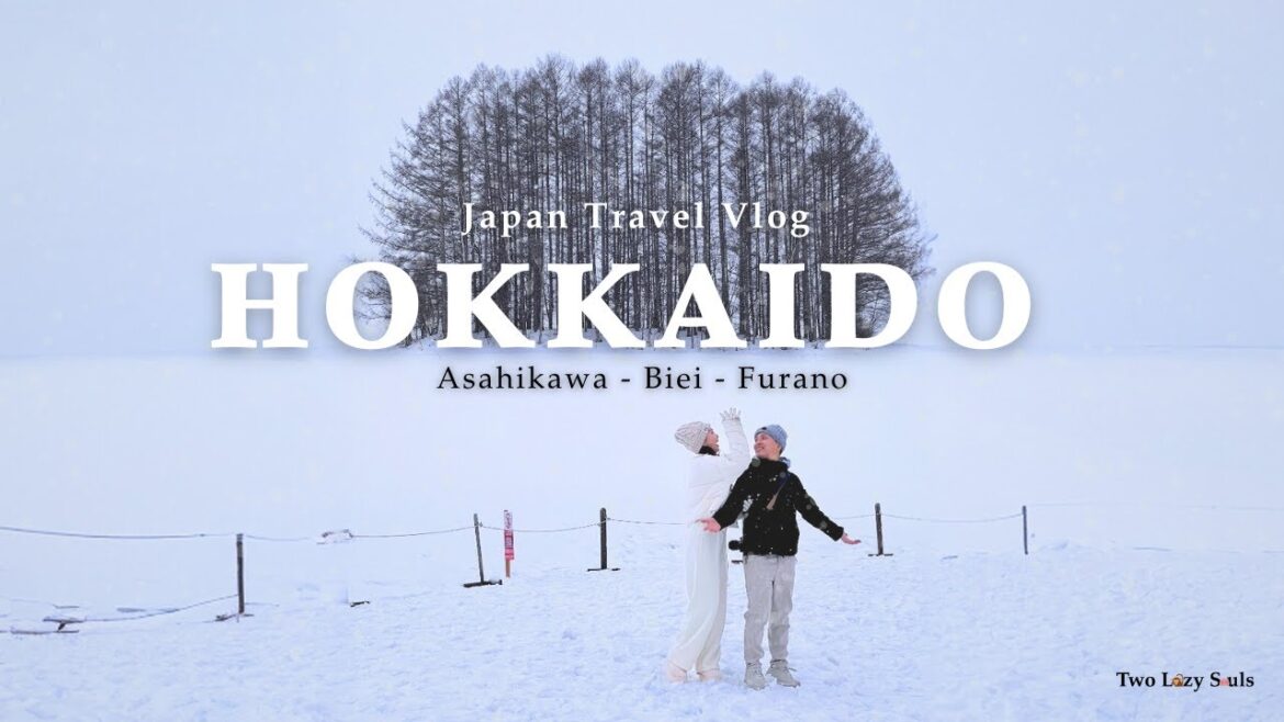 Hokkaido Winter Trip l A day in Asahikawa🐧, Biei & Furano l Japan Travel Vlog l Day 0-2