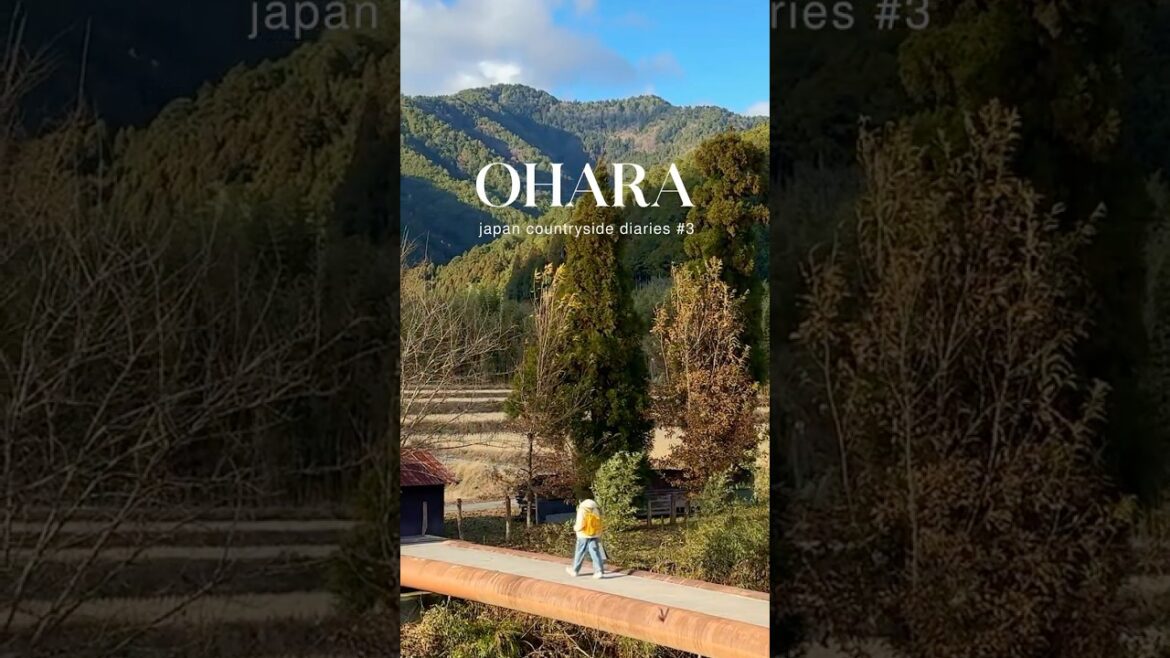 day trip from kyoto: ohara itinerary 🌾🏔