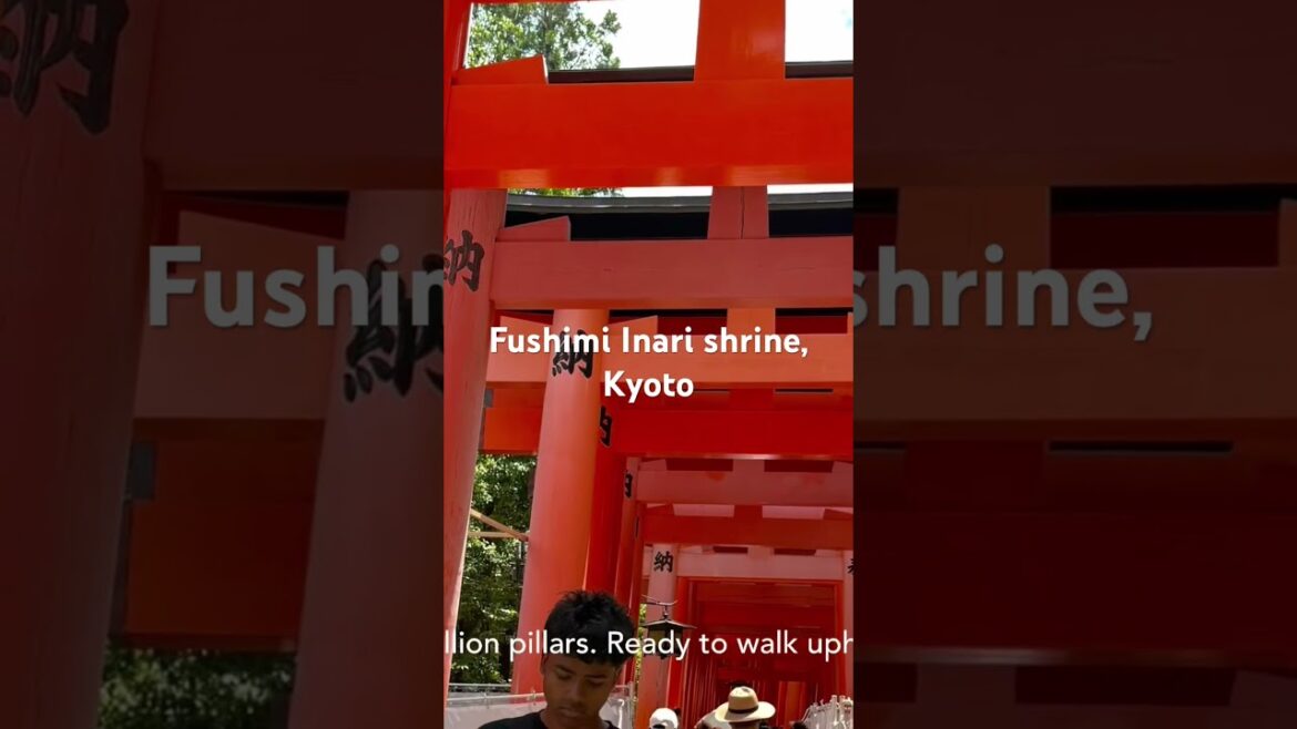 Ep:17 Fushimi Inari shrine Kyoto. #hiking #shorts #shortsvideo #travel #temple