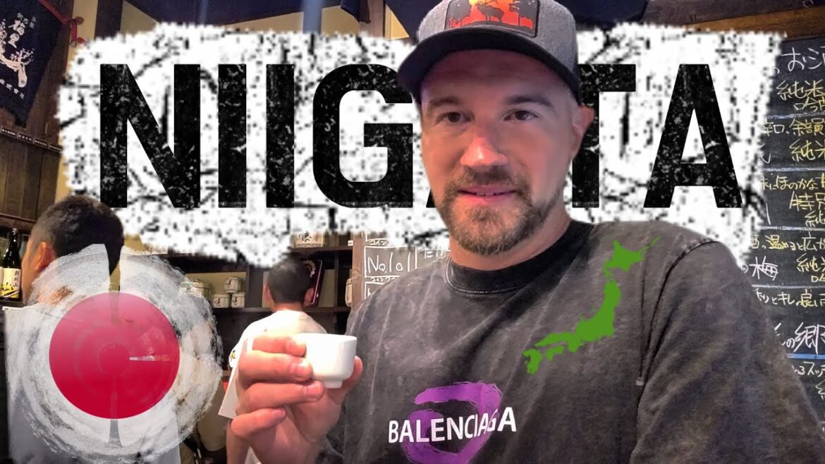 Exploring Niigata Japan: Sake Tasting, Street Food & Local Secrets!