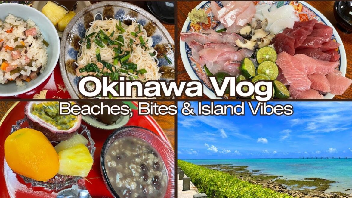 A Taste of Island Life: Okinawa Vlog with Japanese Home Cooking & Food Culture A Taste of Island Life: Okinawa Vlog with Japanese Home Cooking & Food Culture