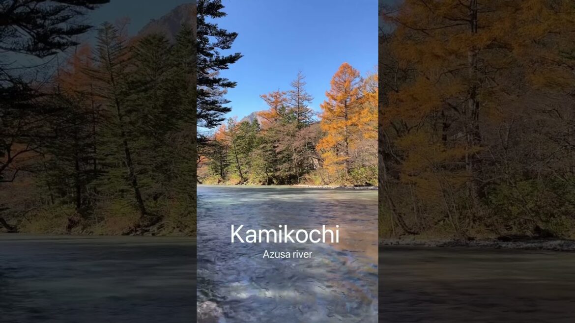 Azusa clear river in Kamikochi #kamikochi #nagano #matsumoto #nature #azusariver #onthewayjourney