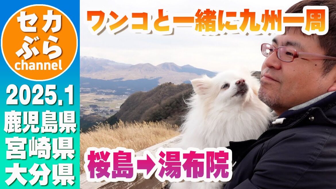 【九州】わんこと一緒に九州一周|桜島~湯布院 【九州】わんこと一緒に九州一周|桜島~湯布院