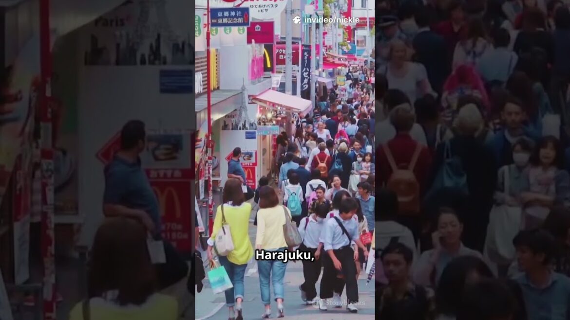 Beginner-Friendly 5-Day Japan Travel Beginner-Friendly 5-Day Japan Travel