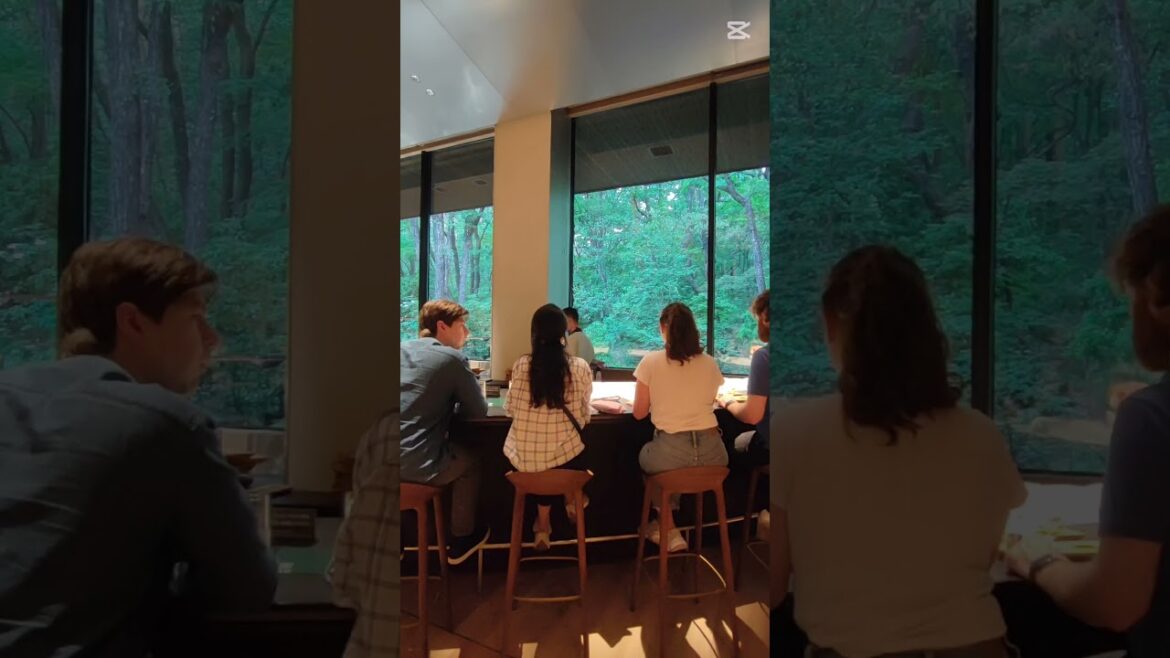 Suntory Distillery tour from Tokyo #travel #bar#whisky