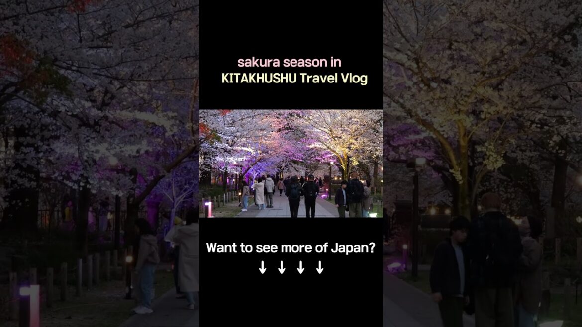 Kitakyushu Spring Vibes｜北九州 桜の香りとともに｜北九州春日旅程開幕 #travel #japantravel #japanesefood