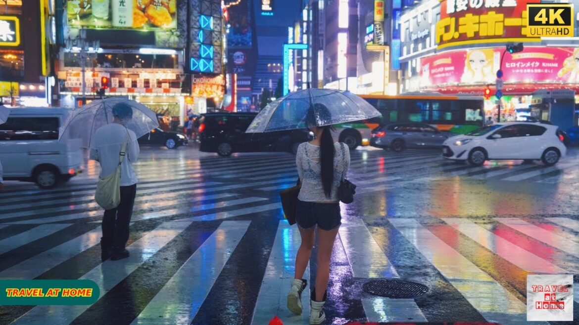 4K HDR Japan travel 2025 | Heavy Rain Walk in Shinjuku(新宿)Tokyo  |  Relaxing Natural City ambience 4K HDR Japan travel 2025 | Heavy Rain Walk in Shinjuku(新宿)Tokyo  |  Relaxing Natural City ambience