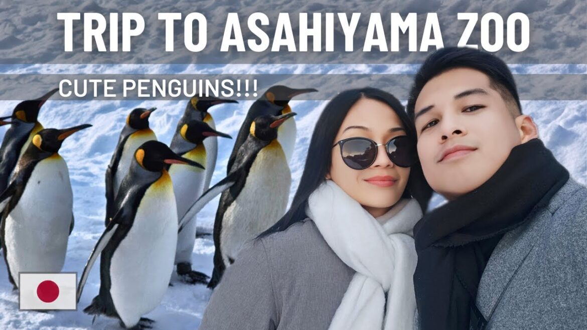 Asahiyama Zoo in HOKKAIDO | Sapporo To ASAHIKAWA, Snow Animals, Asahikawa Shrine | JAPAN DAY 5 [1/2]