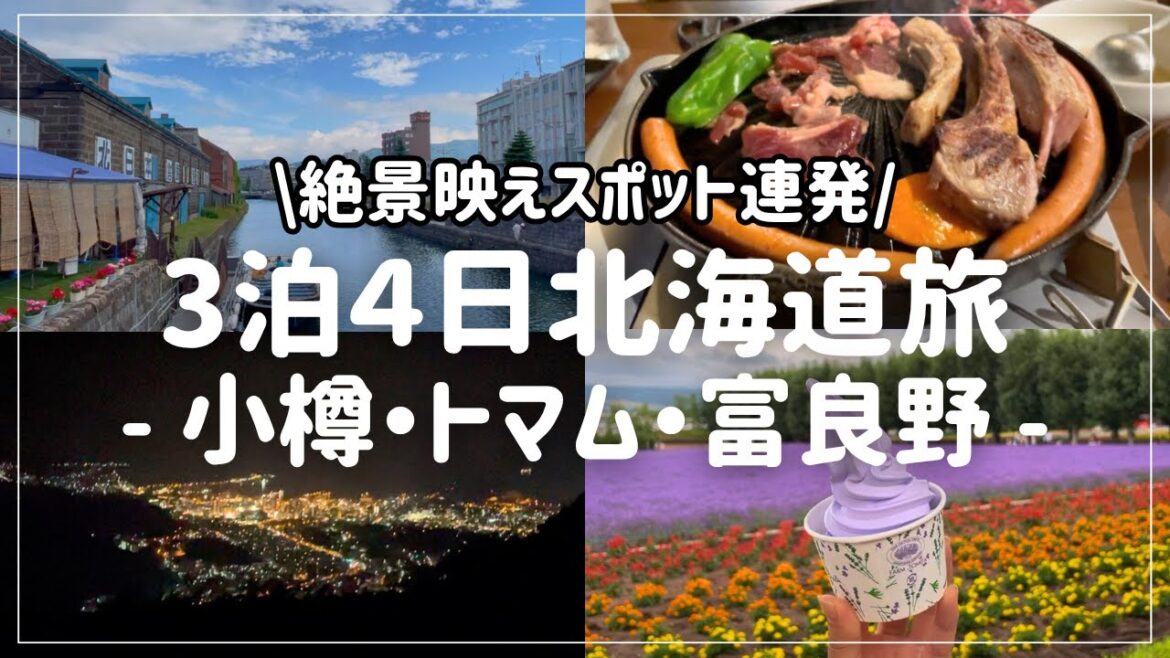 【北海道】3泊4日小樽・トマム・富良野 大満喫旅!雲海テラス|星野リゾートトマム|ファーム富田|小樽運河 【北海道】3泊4日小樽・トマム・富良野 大満喫旅!雲海テラス|星野リゾートトマム|ファーム富田|小樽運河
