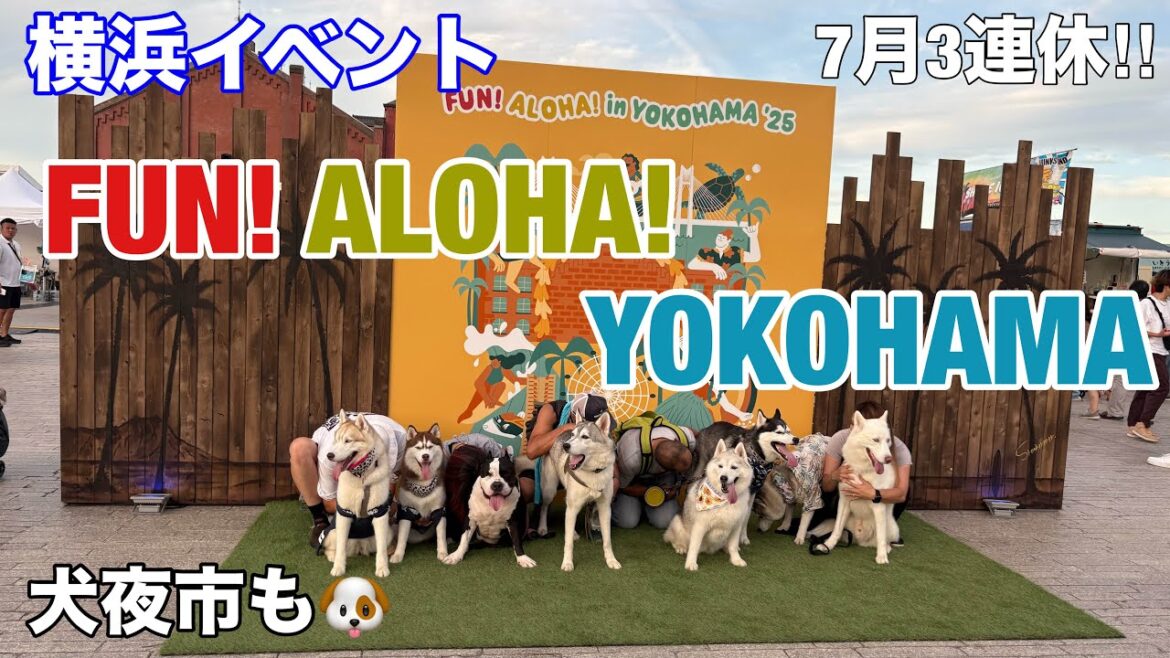 【横浜イベント】FUN! ALOHA! 2025 in YOKOHAMAの様子を見て回る 【横浜イベント】FUN! ALOHA! 2025 in YOKOHAMAの様子を見て回る