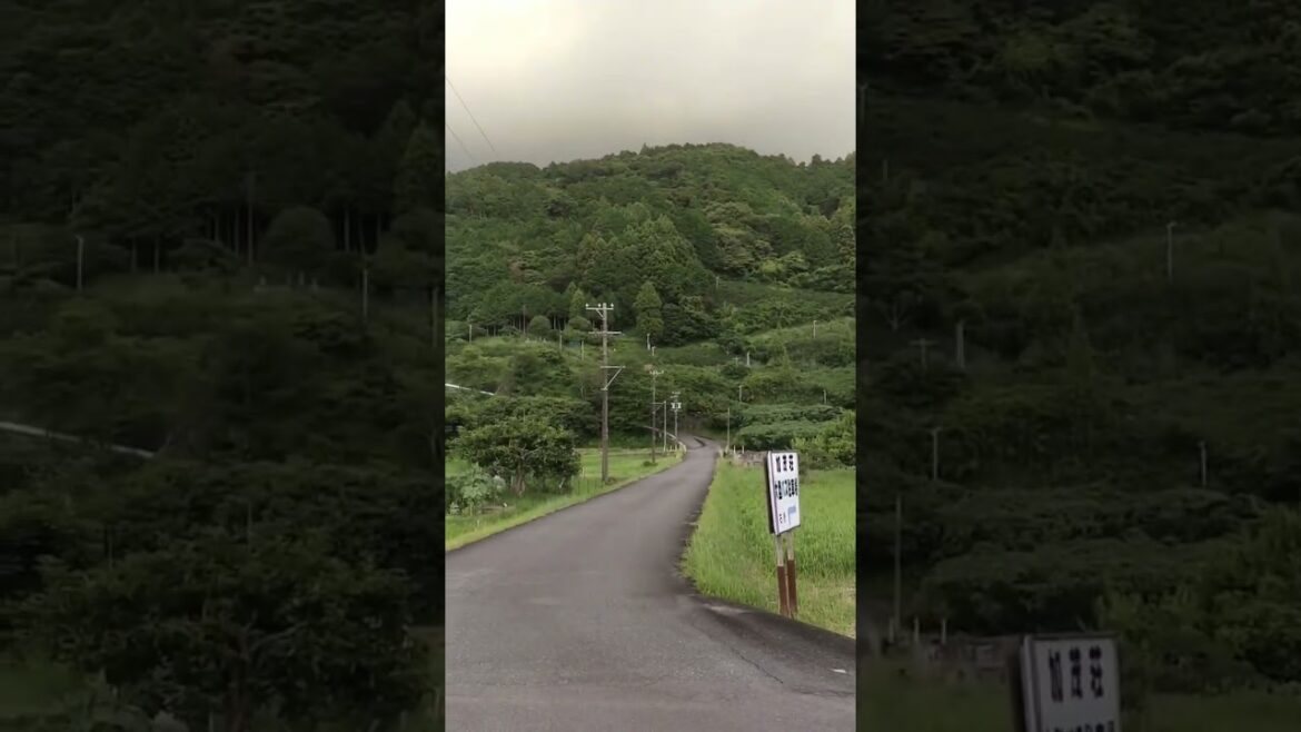 beautiful village in kakegawa #nature #relaxing #mountains #travel