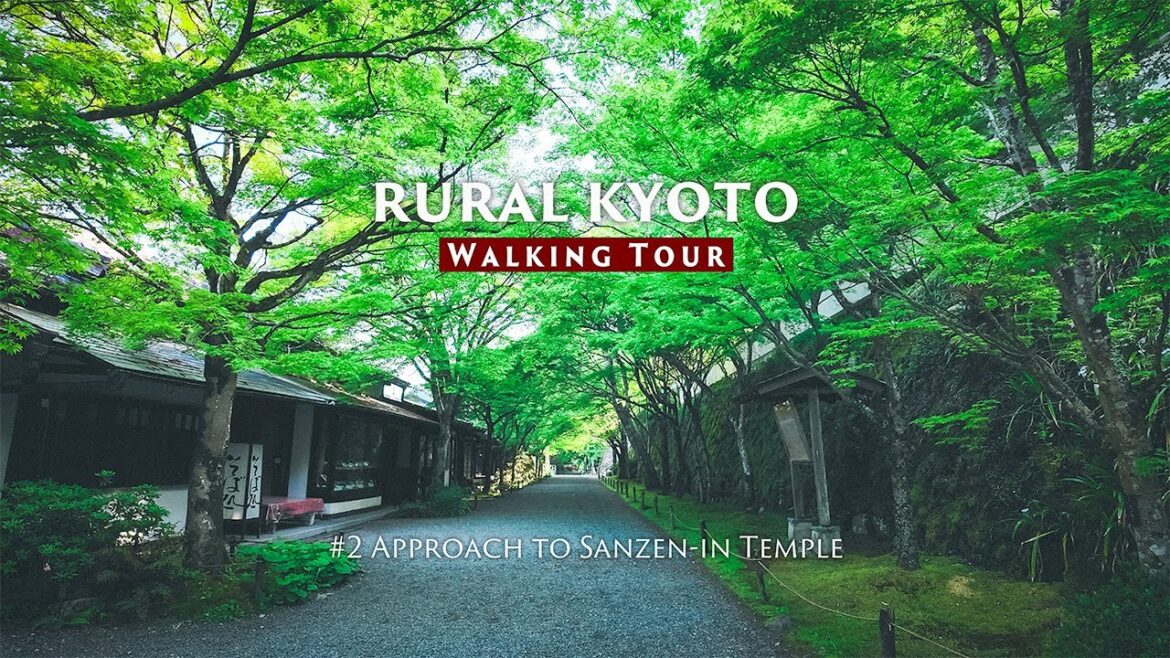 Walk Through Rural Japan | Approach to Sanzen-in, Ohara Kyoto | 4K Morning Ambience | 京都,大原,三千院