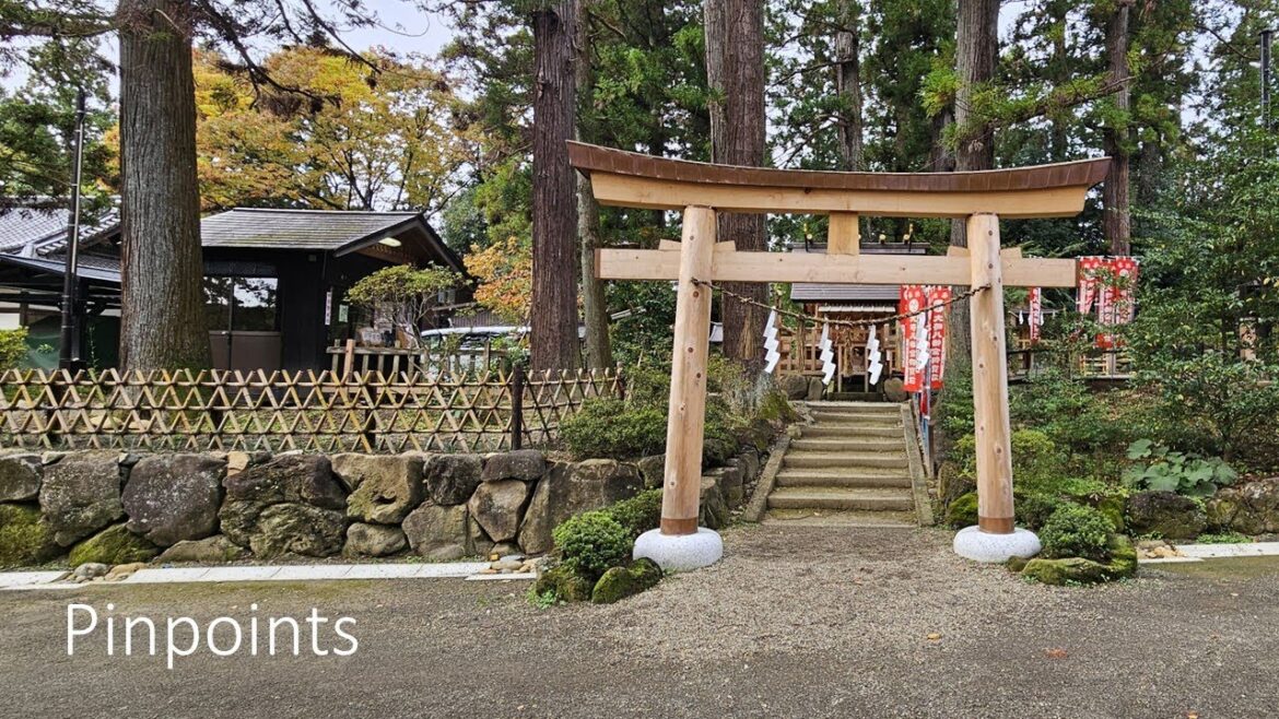 Pinpoints | E21 "Water of Wisdom"