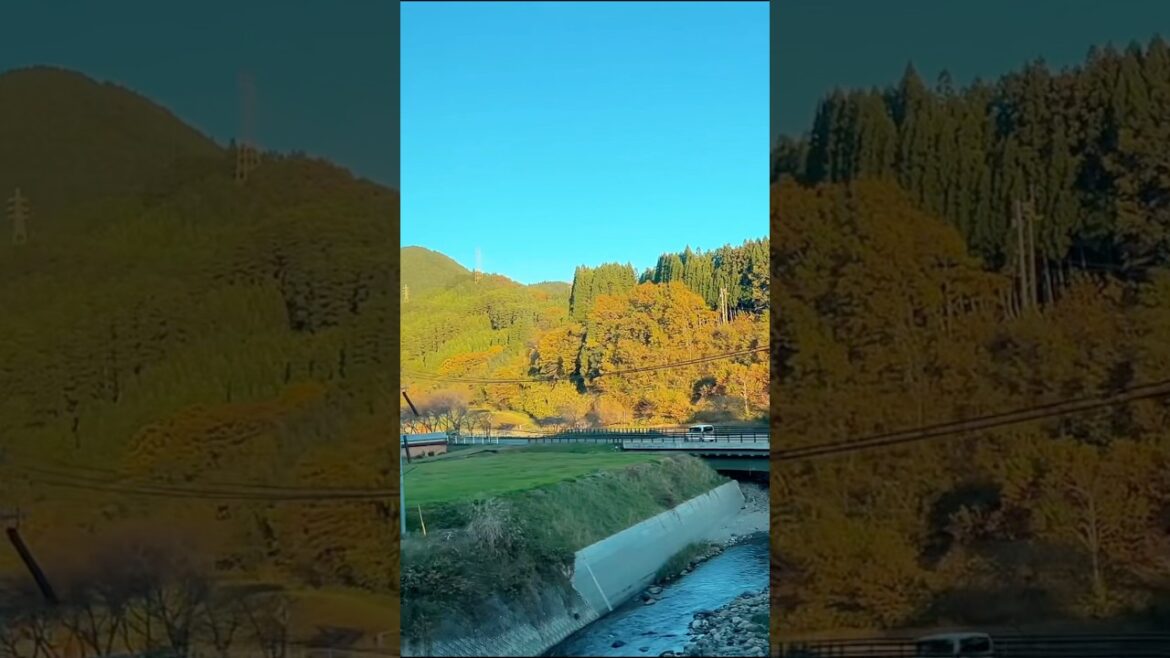 Solo travel to #yufuin yufuin no mori #solotravel #fukuoka #japan