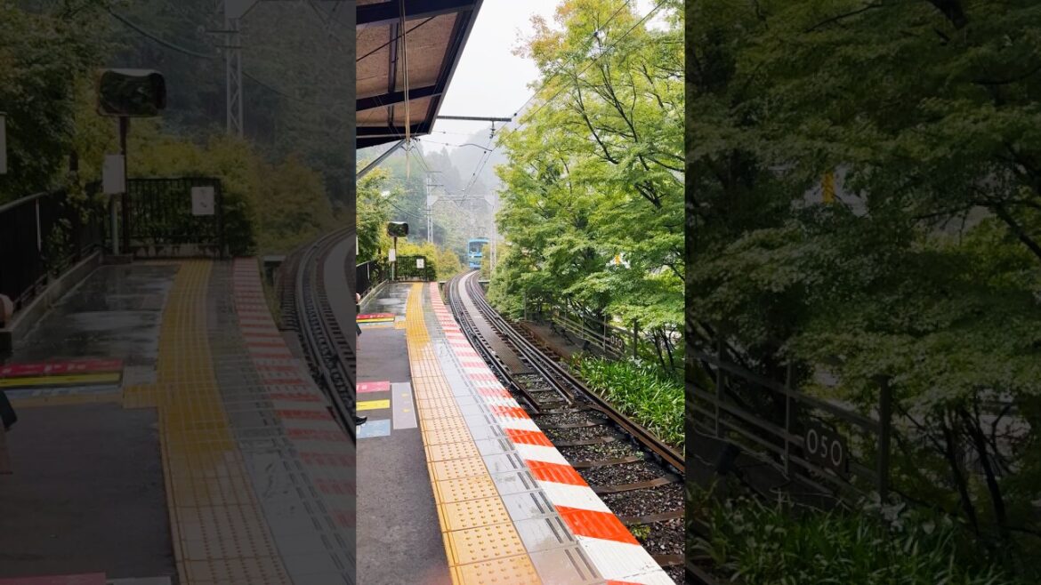 This Hidden Japanese Village Feels Like a Dream