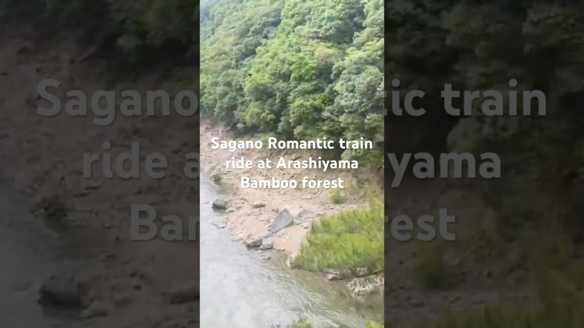 Sagano Romantic Train Ride π | Scenic Arashiyama bamboo forest #shortsvideo #shorts #unescosites Sagano Romantic Train Ride π | Scenic Arashiyama bamboo forest #shortsvideo #shorts #unescosites