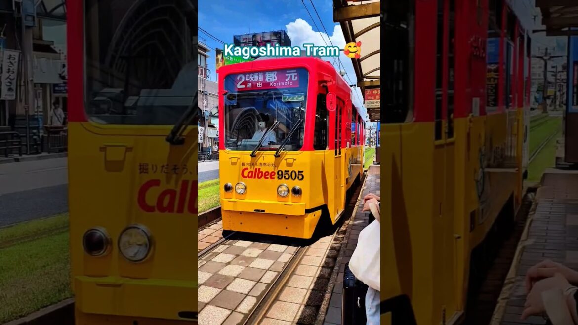 Kagoshima Tram Train 🚂🥰 #tram #train #kagoshima #trending #ytshorts #youtube #youtubeshorts #love Kagoshima Tram Train 🚂🥰 #tram #train #kagoshima #trending #ytshorts #youtube #youtubeshorts #love