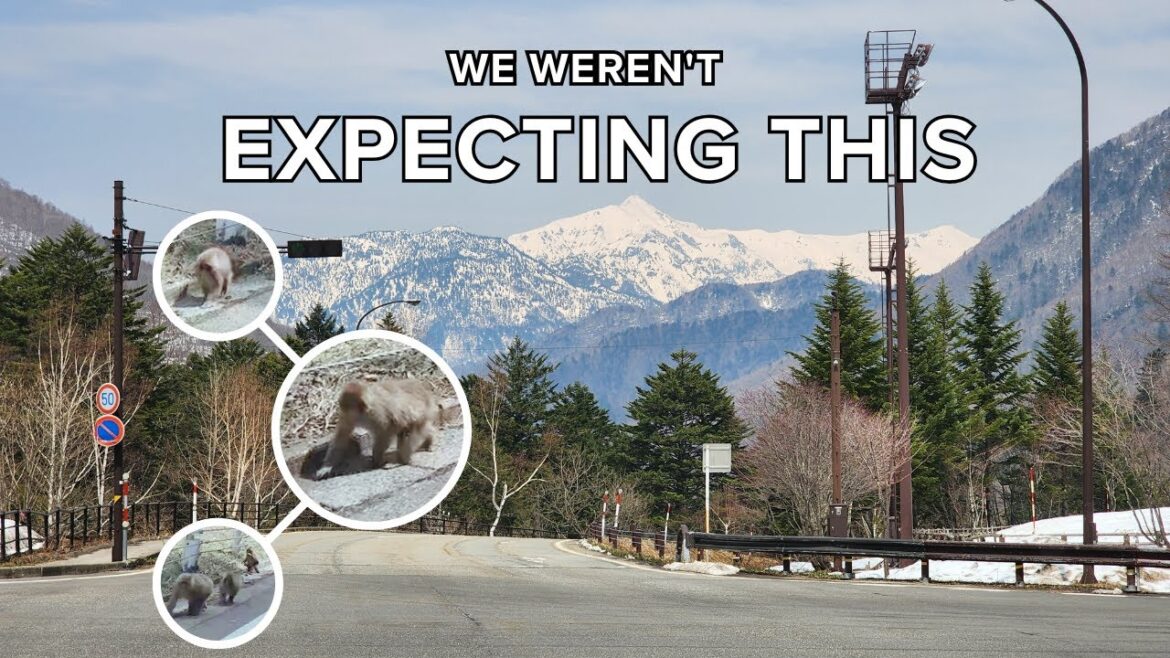 Driving Japan's Alps: Our Unforgettable Road Trip to Mt. Fuji