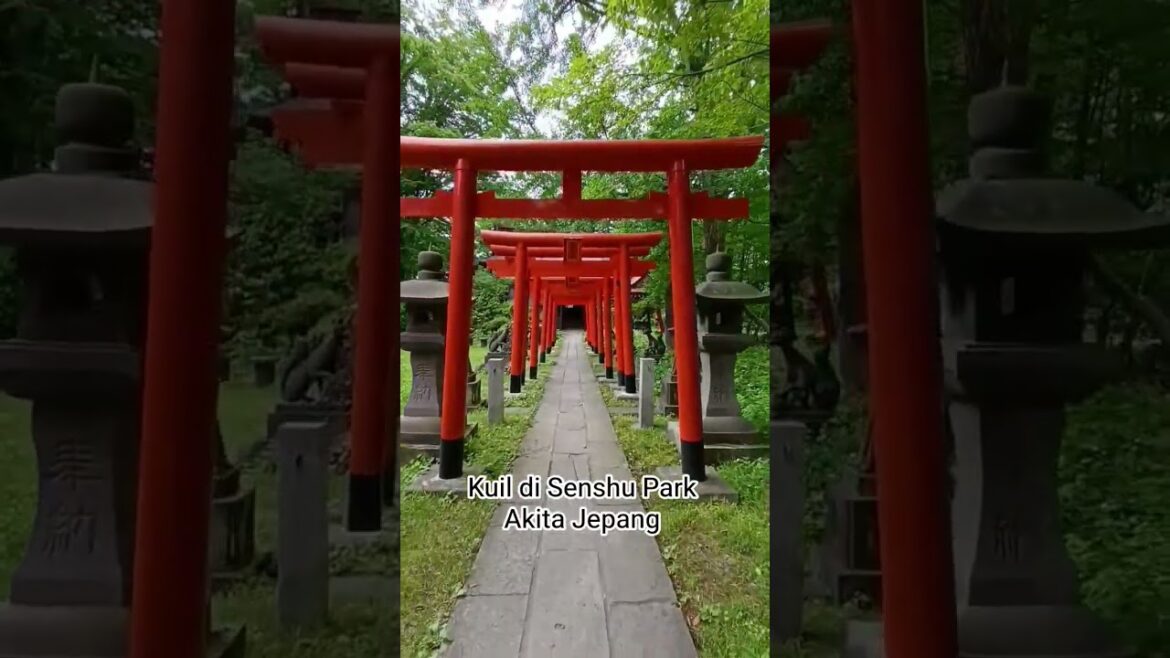 Taman Senshu Jepang #jepang #taman #senshu #akita #trip #travel #tradisijepang #japanese #japan Taman Senshu Jepang #jepang #taman #senshu #akita #trip #travel #tradisijepang #japanese #japan