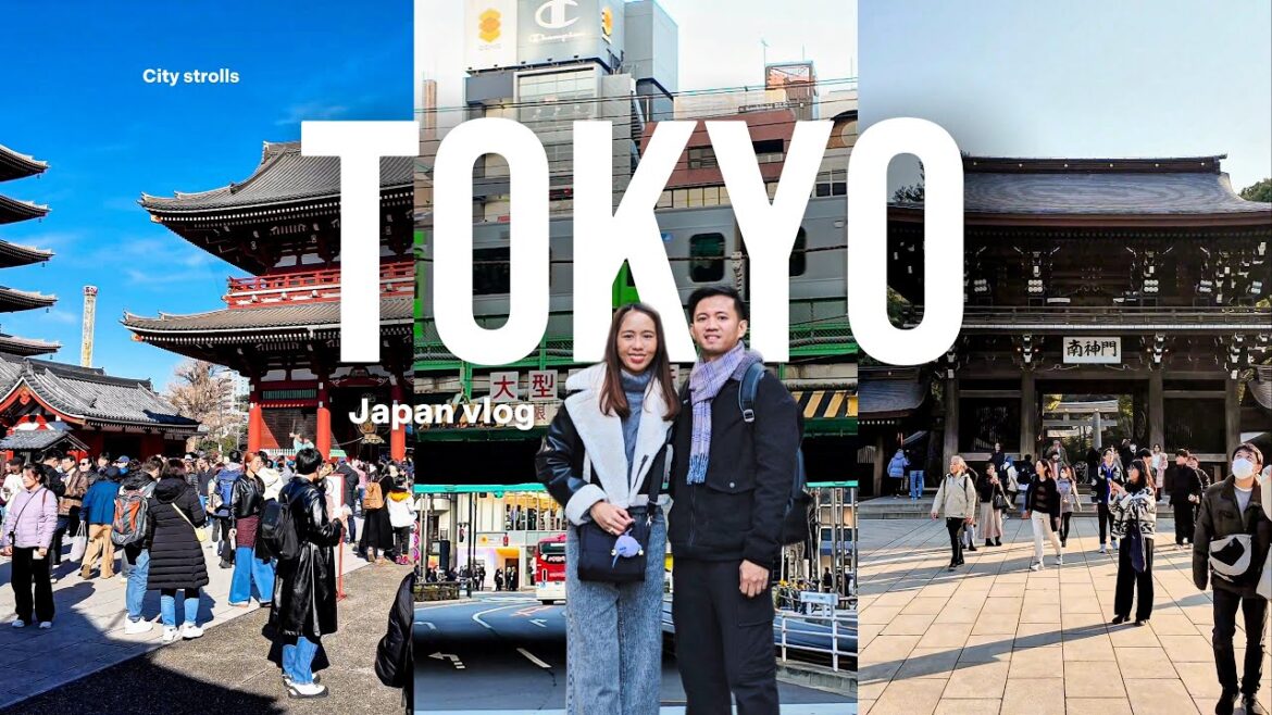 Tokyo in a Day: Asakusa Temple, Meiji Shrine & Shibuya Crossing Adventure! Tokyo in a Day: Asakusa Temple, Meiji Shrine & Shibuya Crossing Adventure!