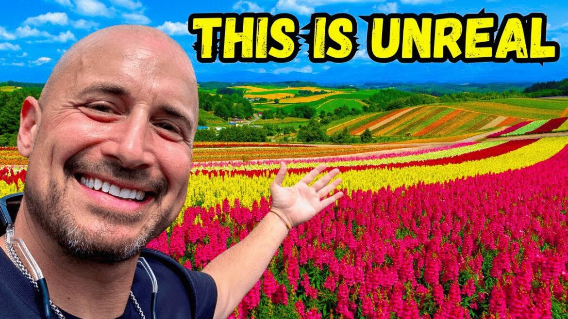 Furano & Biei: Is This the Most Beautiful Place in Japan? Furano & Biei: Is This the Most Beautiful Place in Japan?