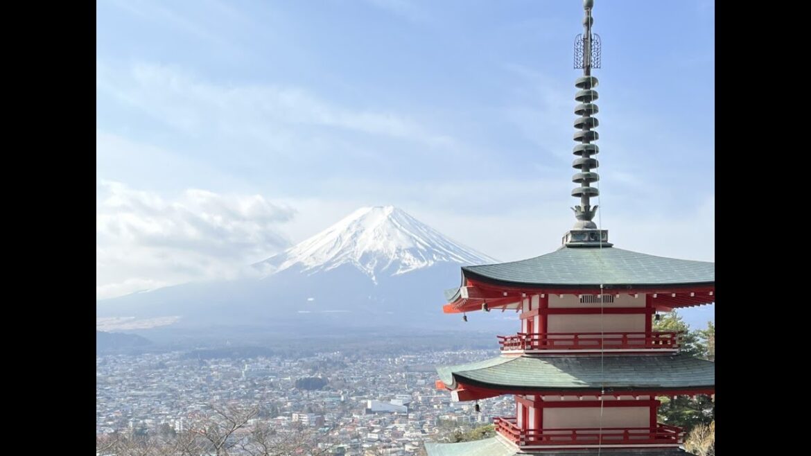 Mt Fuji from Chureito Pagoda 14th March 2025 #japaneseculture #mountfujiview #japan #travel #views Mt Fuji from Chureito Pagoda 14th March 2025 #japaneseculture #mountfujiview #japan #travel #views