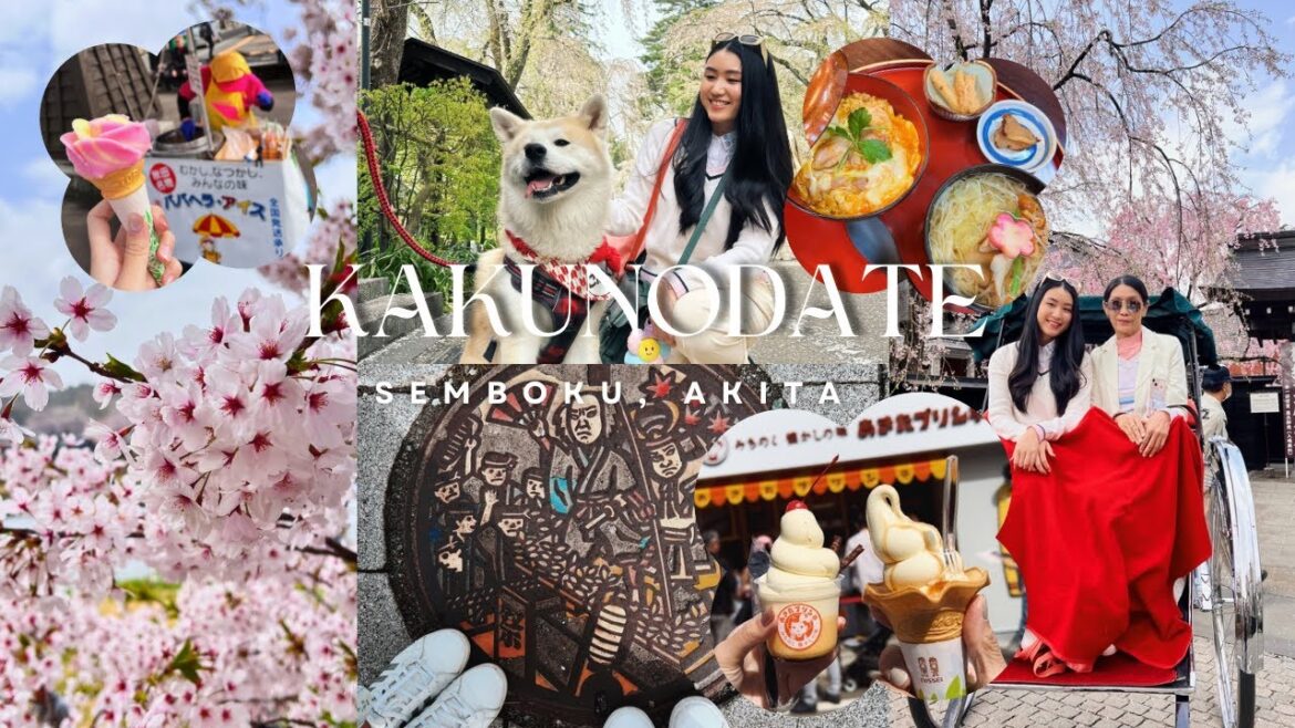 เที่ยวญี่ปุ่น Tohoku-Akita / Kakunodate Samurai Village / Hinokinai river / Akita pudding