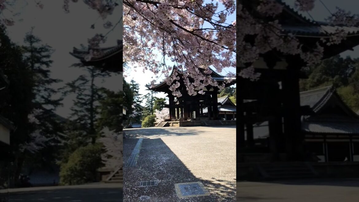 DON’T CLICK The Sound ๐ฑ #shorts DON'T CLICK The Sound ๐ฑ #shorts