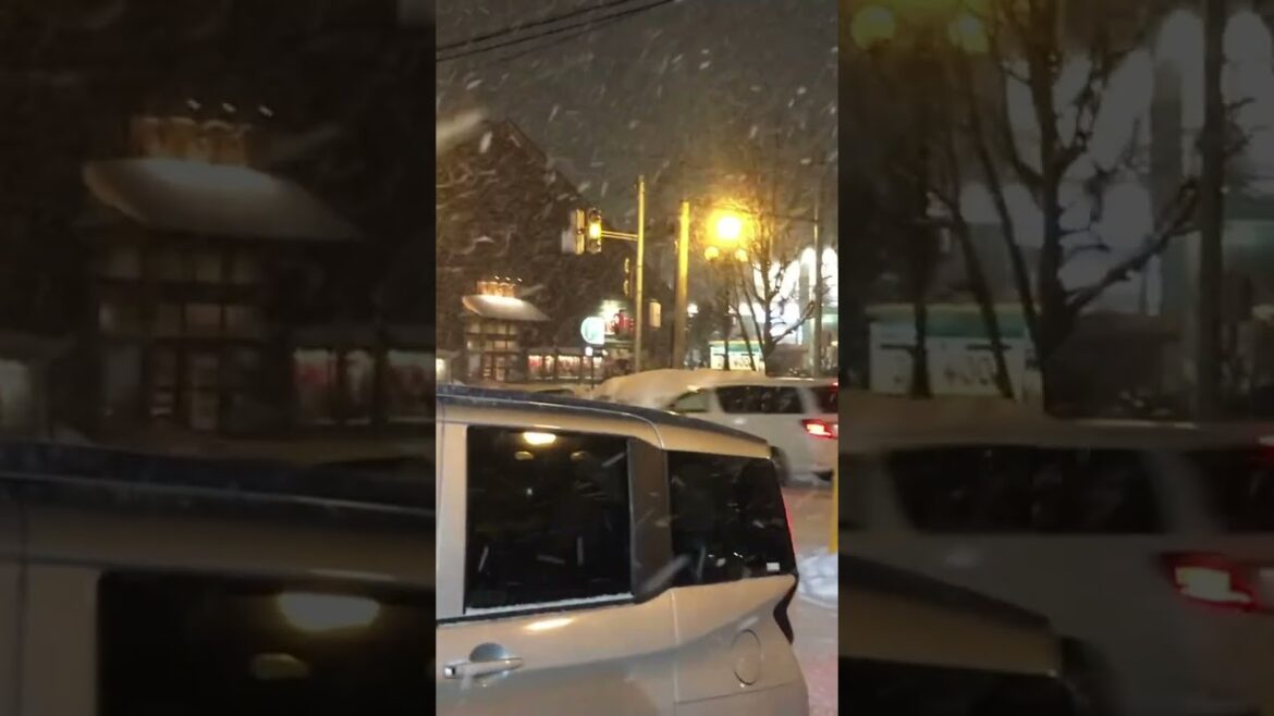 눈보라 snow otaru  tour 여행