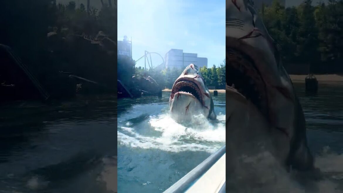 Top 3 Attractions at Universal Studios Osaka