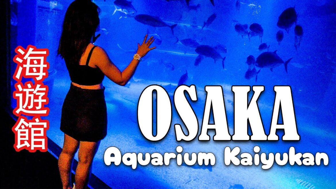 Osaka Aquarium Kaiyukan Tour in Japan 🇯🇵 An Enchanting Ocean Adventure!