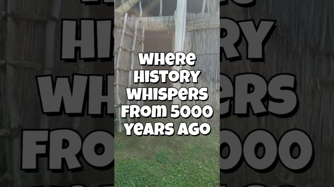 Sanjūinaba Ruins – Ancient Echoes from Niigata