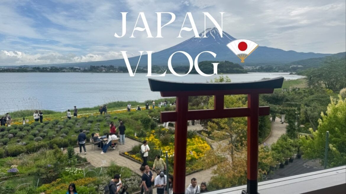 MY FIRST TIME IN JAPAN | TOKYO, MOUNT FUJI, KYOTO, HIROSHIMA MY FIRST TIME IN JAPAN | TOKYO, MOUNT FUJI, KYOTO, HIROSHIMA