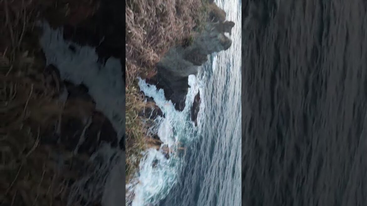 Local beach shrine in Chiba, Japan Local beach shrine in Chiba, Japan