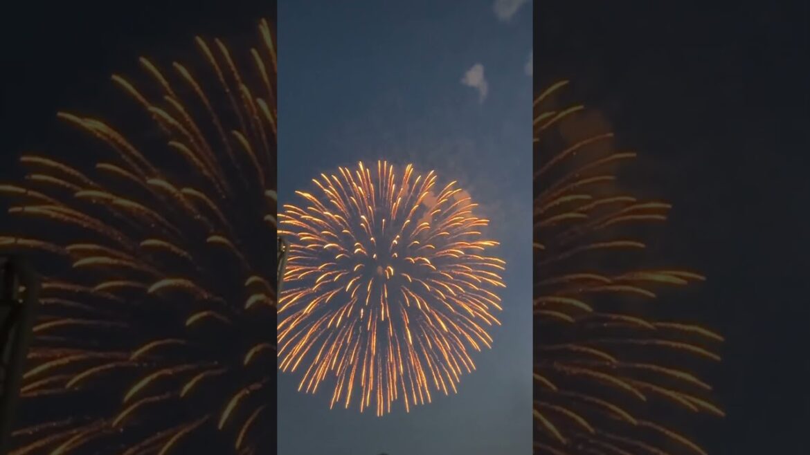 Fireworks in Nagoya #shortsfeed #japan #名古屋 #名港#fireworks #花火 #shorts #trendingshorts Fireworks in Nagoya #shortsfeed #japan #名古屋 #名港#fireworks #花火 #shorts #trendingshorts
