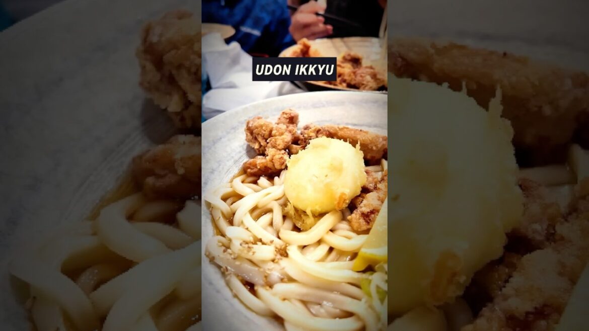 Udon Ikkyu- The Best Udon in Sapporo #travel #sapporo #udon Udon Ikkyu- The Best Udon in Sapporo #travel #sapporo #udon