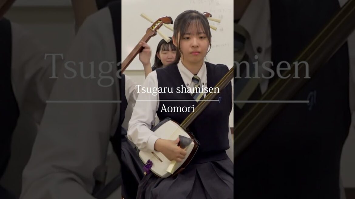 Traditional japanese music!#aomori #music #japan #vlog #travel #syamisen #culture #awesome Traditional japanese music!#aomori #music #japan #vlog #travel #syamisen #culture #awesome