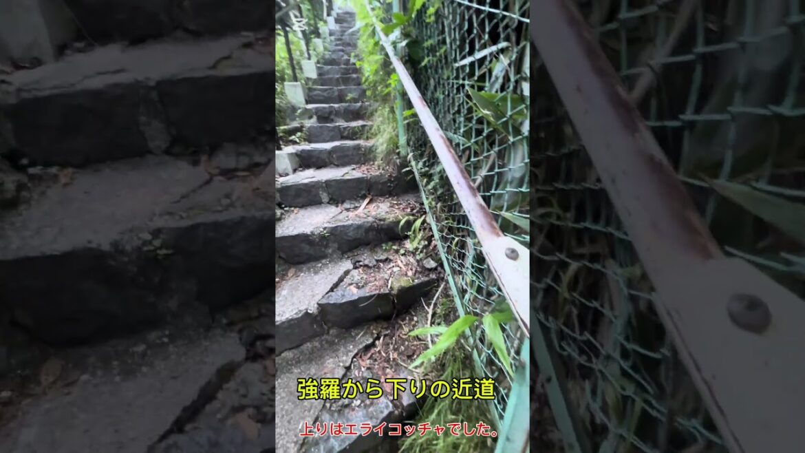 【箱根強羅】箱根強羅駅から宮城野橋バス停までの近道ルート #観光#箱根#旅行