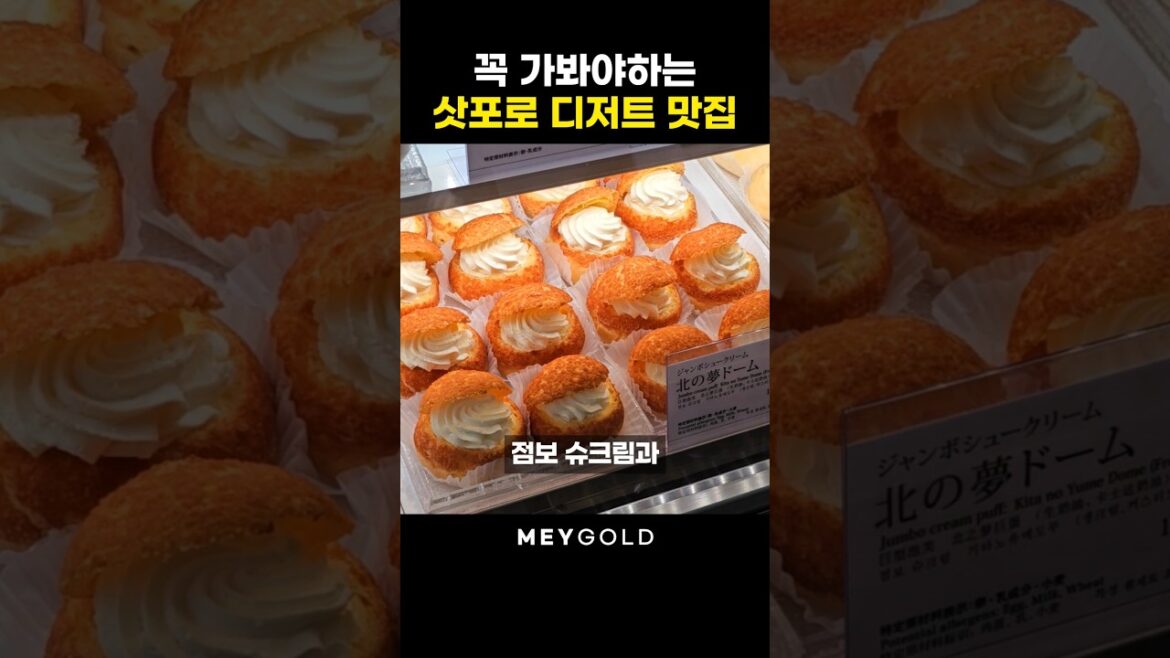 삿포로 여행 인생 디저트 맛집 1위!🍰 삿포로 여행 인생 디저트 맛집 1위!🍰