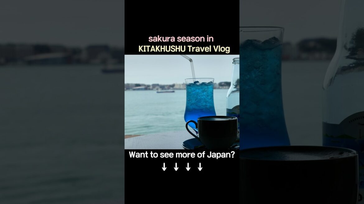 A Day of Coffee in Kitakyushu｜北九州で楽しむカフェ巡り｜北九州咖啡一日漫遊 #travel #japantravel #japan