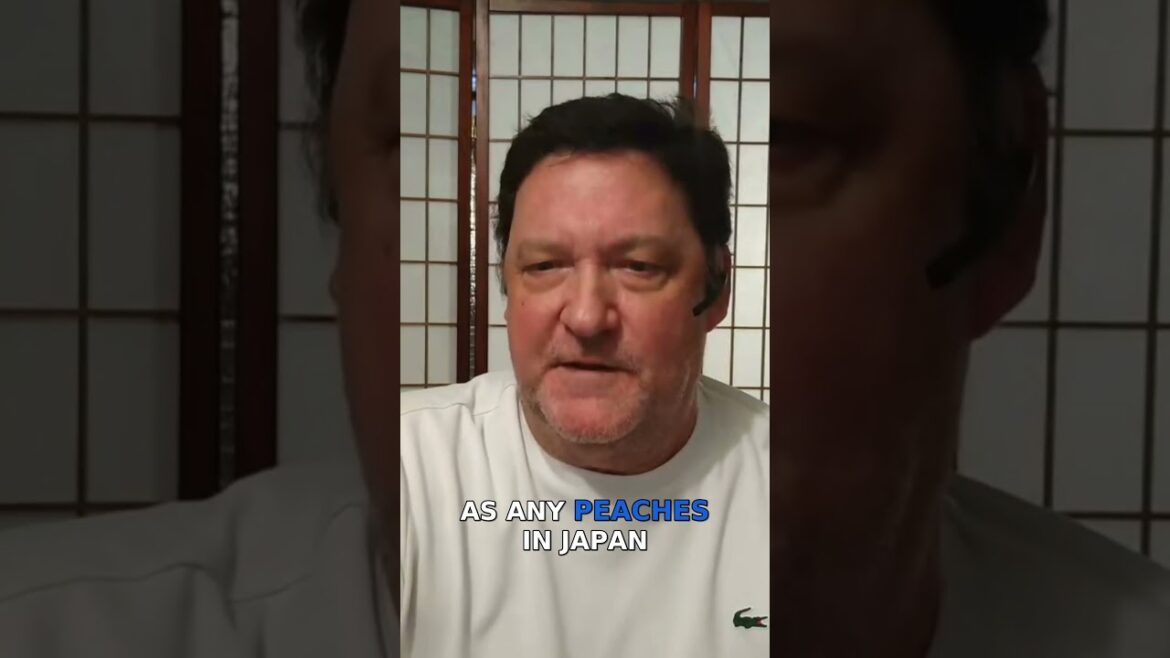 Discover the Rare Hokugan Peach from Northern Japan! (Akita) Discover the Rare Hokugan Peach from Northern Japan! (Akita)