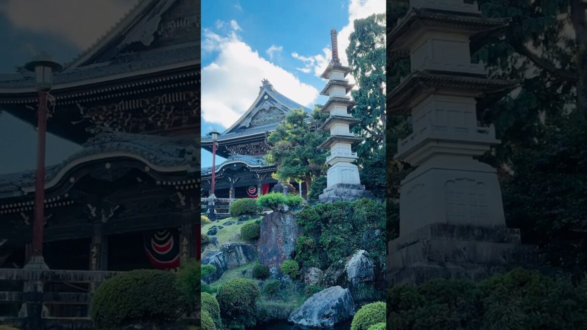 豊川稲荷 in 愛知 🇯🇵