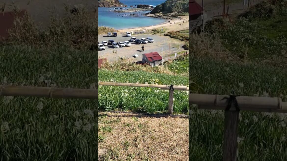 Izu, Shizuoka, Japan #2