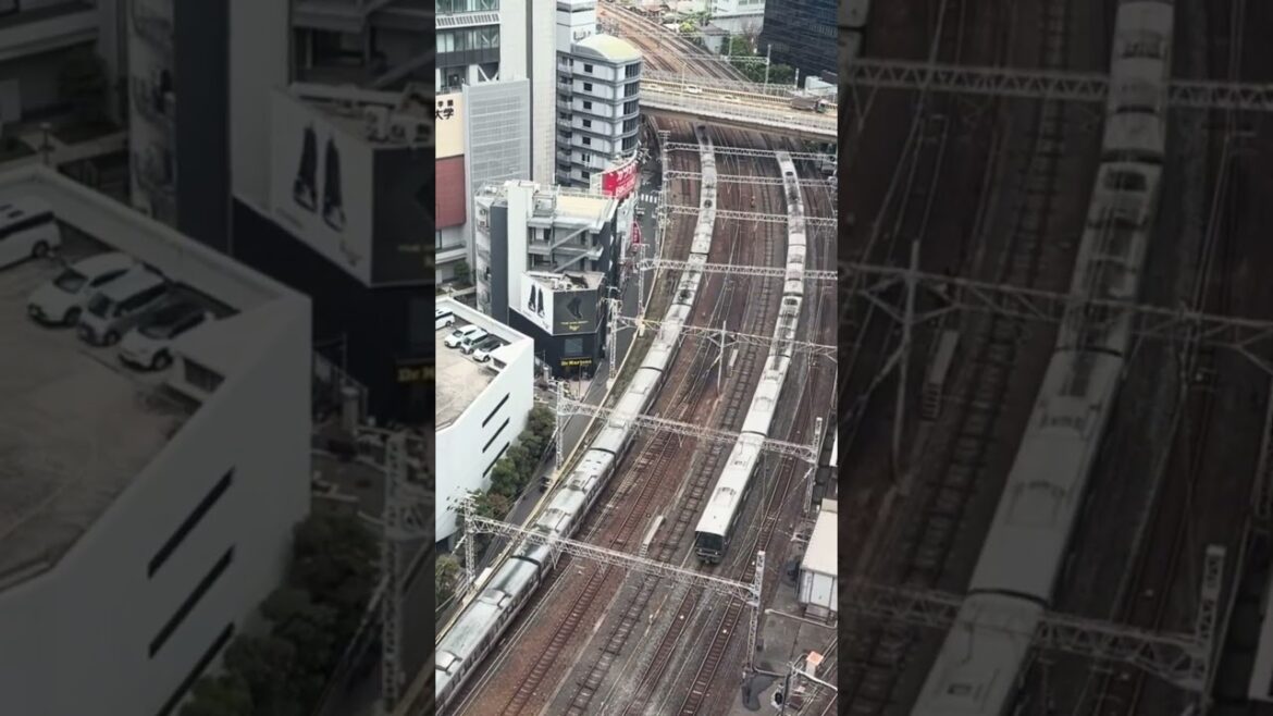 Ep:25 Public transport in Japan for first timers | local buses & trains #shorts #shortsvideo Ep:25 Public transport in Japan for first timers | local buses & trains #shorts #shortsvideo