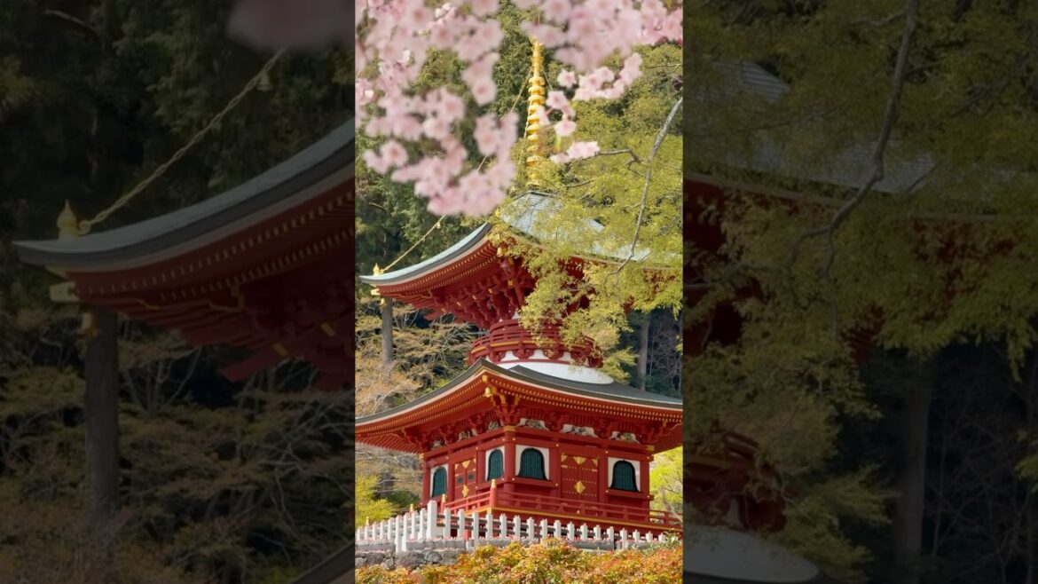 The Best Souvenir You Can Get in Japan 🇯🇵✨ #katsuoji #japantemple #osaka #souvenir