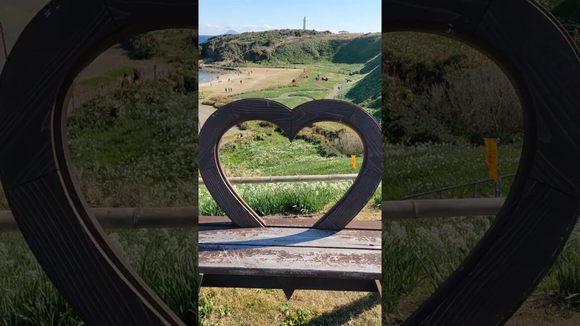 Izu, Shizuoka, Japan #3